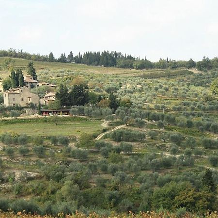 Agriturismo Podere Somigli Di Lorenzo Correani Hotel Greve in Chianti Luaran gambar
