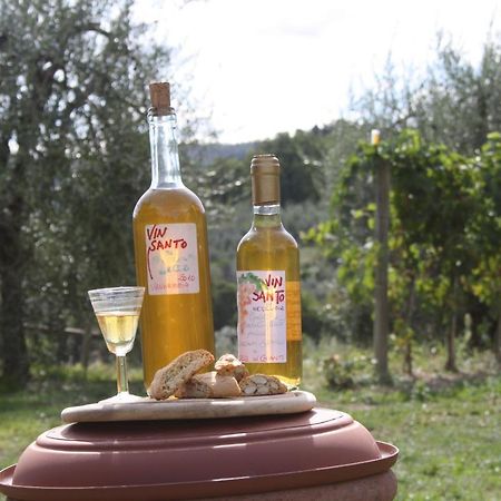 Agriturismo Podere Somigli Di Lorenzo Correani Hotel Greve in Chianti Luaran gambar
