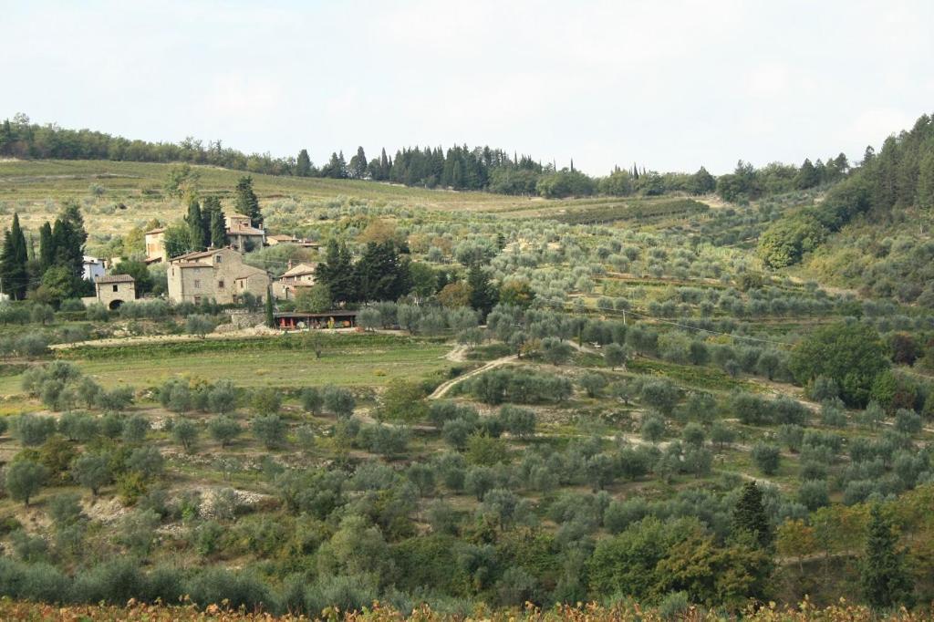 Agriturismo Podere Somigli Di Lorenzo Correani Hotel Greve in Chianti Luaran gambar