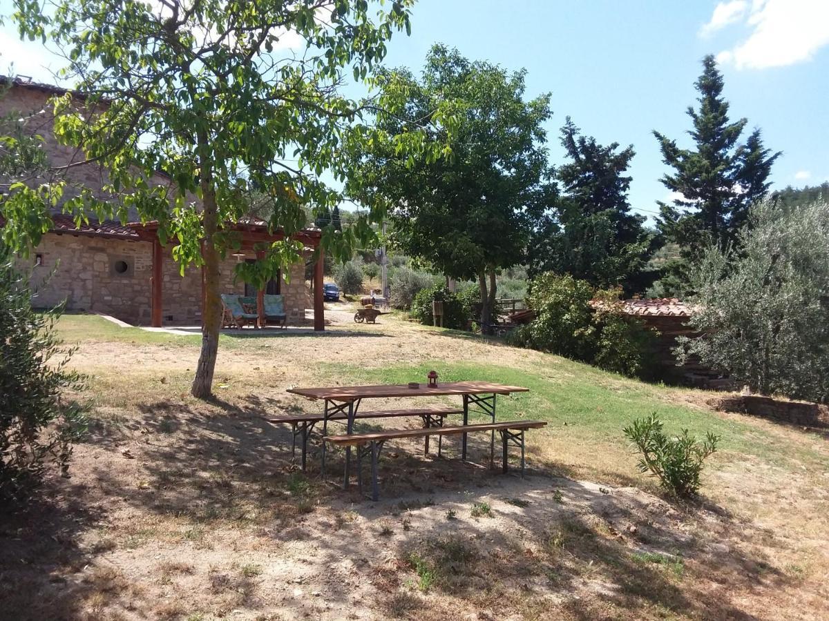 Agriturismo Podere Somigli Di Lorenzo Correani Hotel Greve in Chianti Luaran gambar
