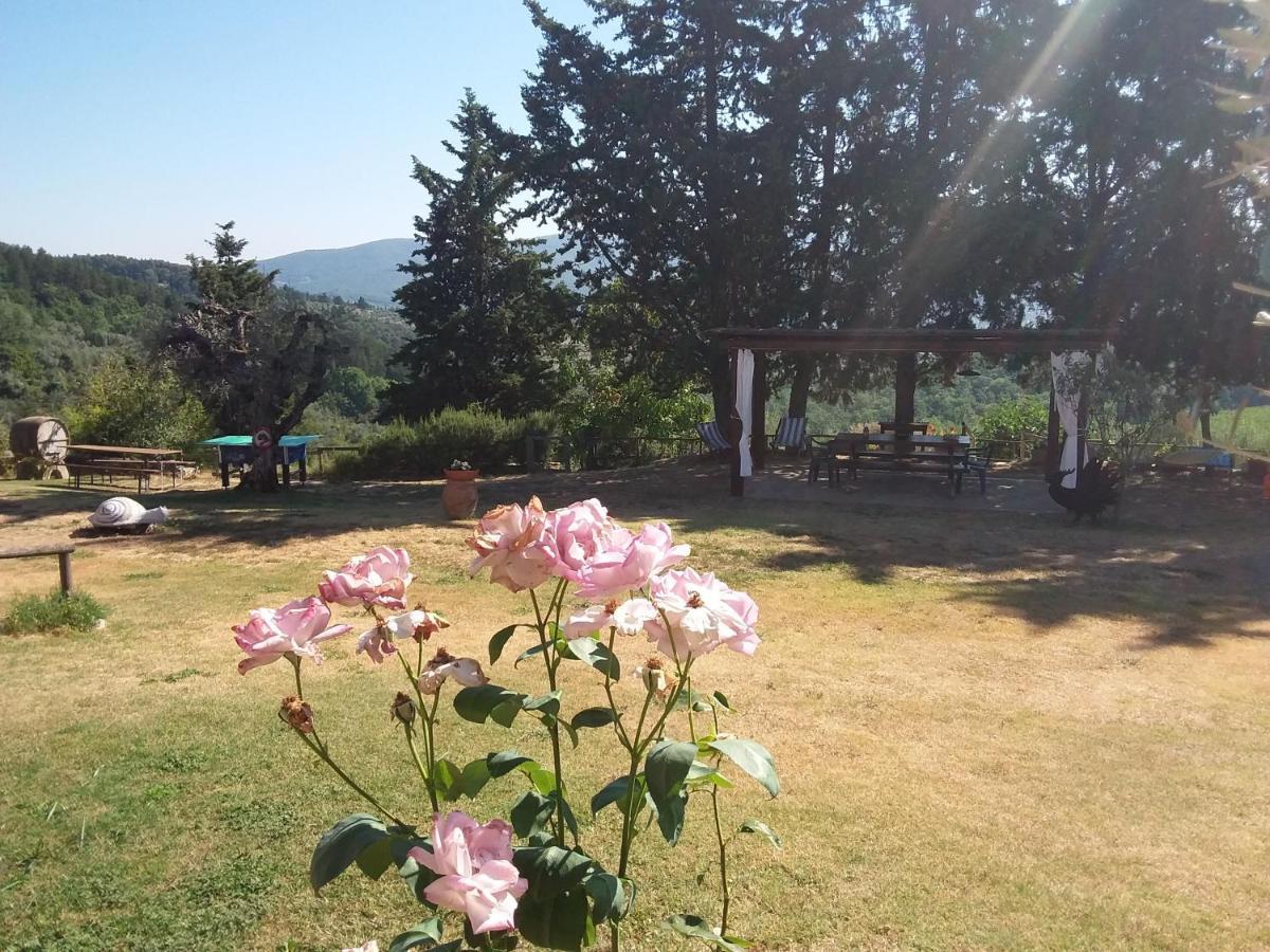 Agriturismo Podere Somigli Di Lorenzo Correani Hotel Greve in Chianti Luaran gambar